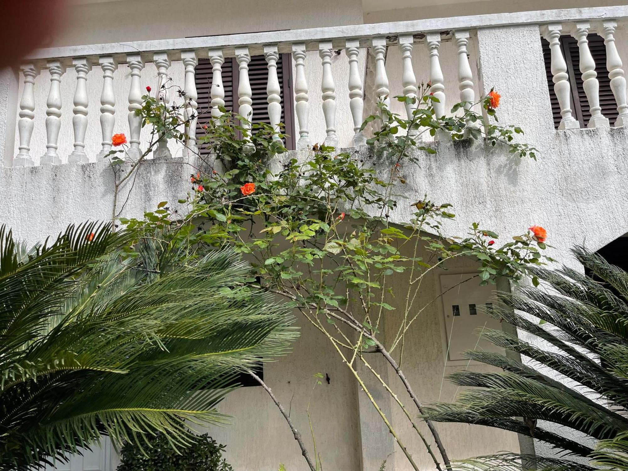 House Irena Hotel Budva Luaran gambar